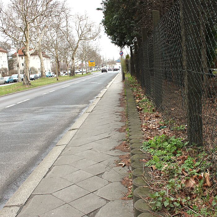 Bestandsituation auf der Ostseite 2 streifige Fahrbahn mit angrenzenden Gehweg aus Betonplatten und Grundstücksgrenze