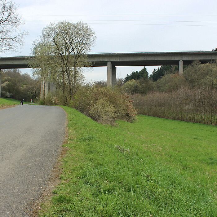 seitlicher Blick auf die bestehende Brücke, Gelände mit Weg, welcher unter der Brücke hindurch führt