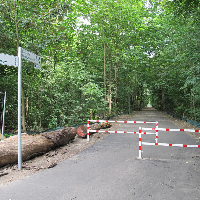Umlaufsperre auf Asphaltweg, Bäume und Sträucher entlang des Weges