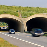 Landschaftstunnel