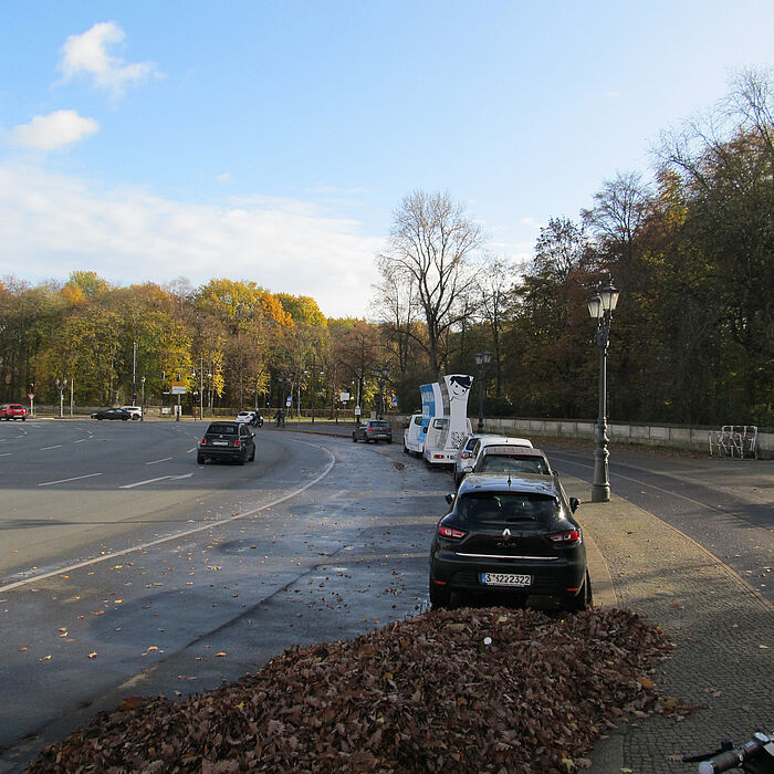 mehrere Fahrstreifen, Längsparker am Straßenrand, darauffolgend Gehweg und Begrünung