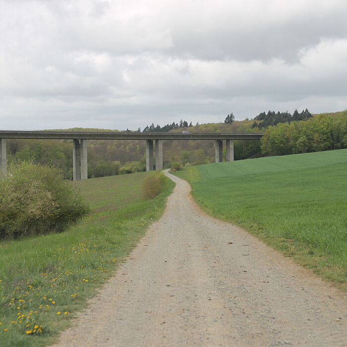 alte Brücke über die Pleichach, Blick über das Gelände und auf die Brücke inklusive Stützen